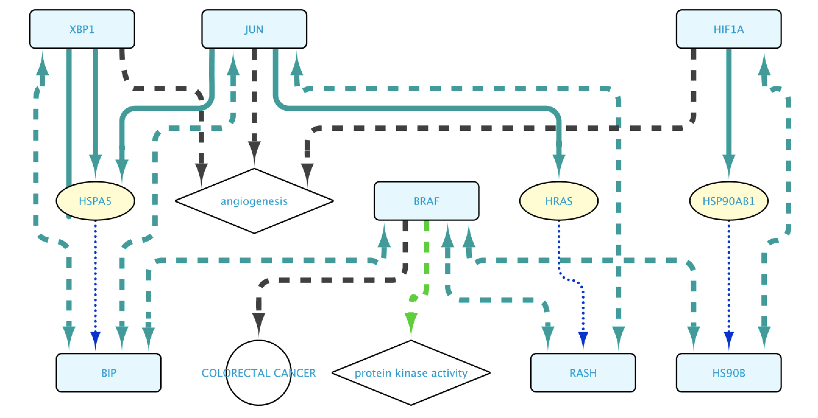 The network in Cytoscape, after applying layout algorithms.