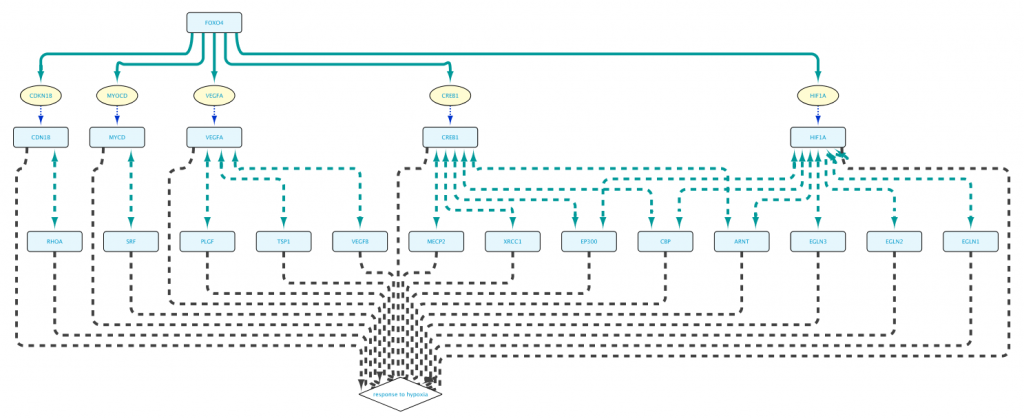 Figure 11: the resulting network from the query in Example 1e