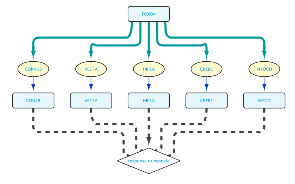 Figure 7: the results for the Example 1c query