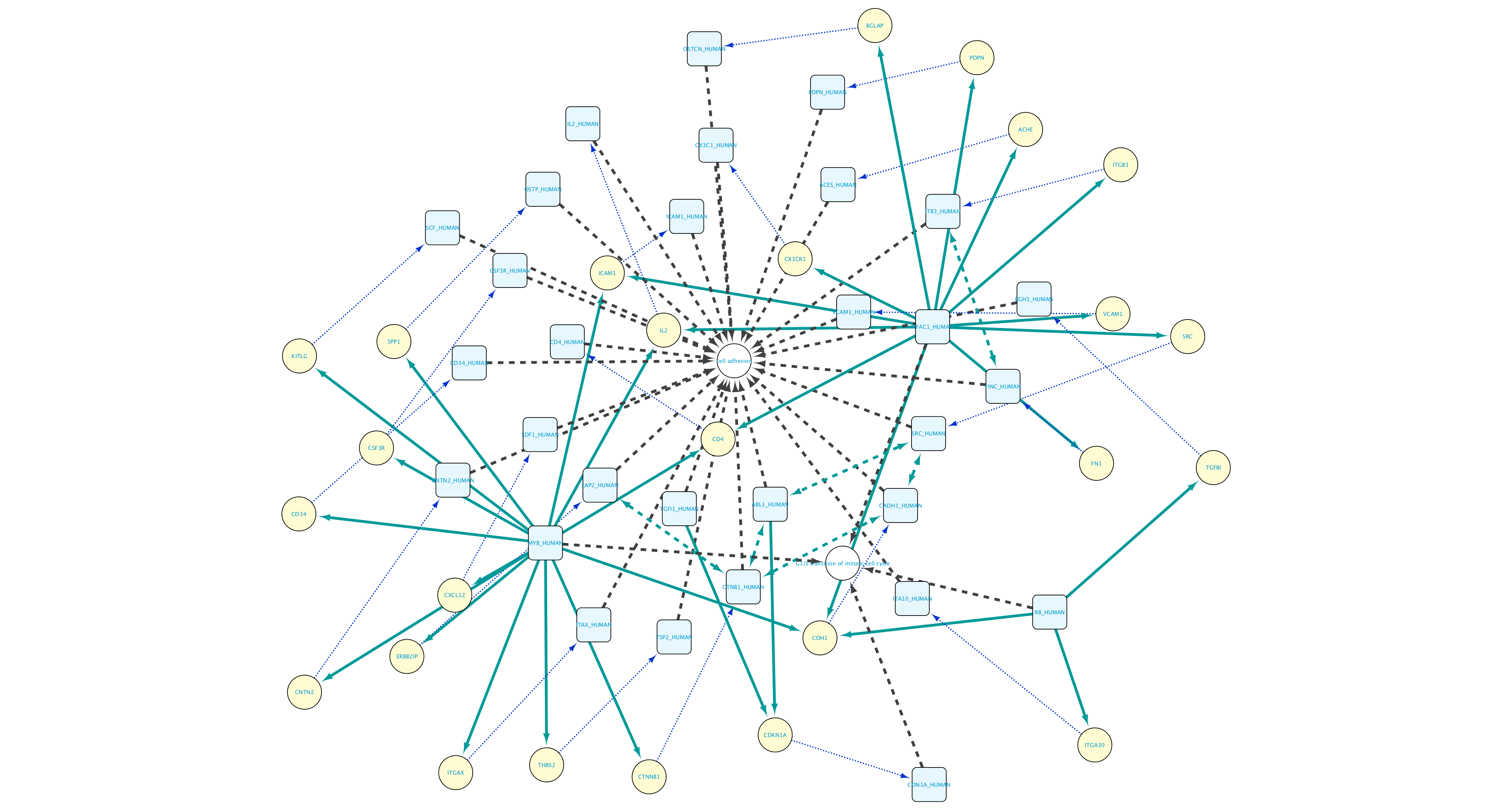 Network_6